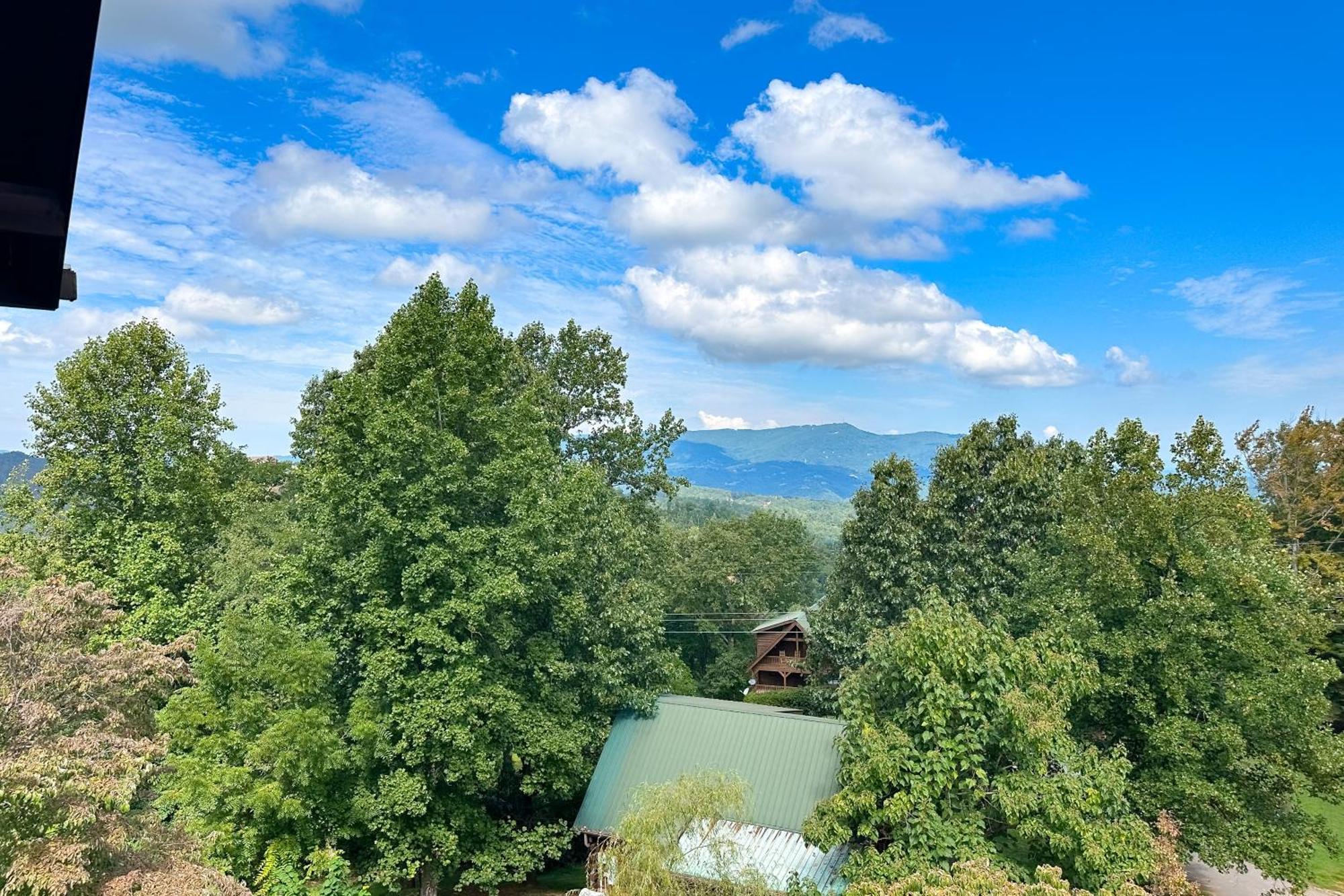 Little Black Bear Retreat Pigeon Forge Εξωτερικό φωτογραφία
