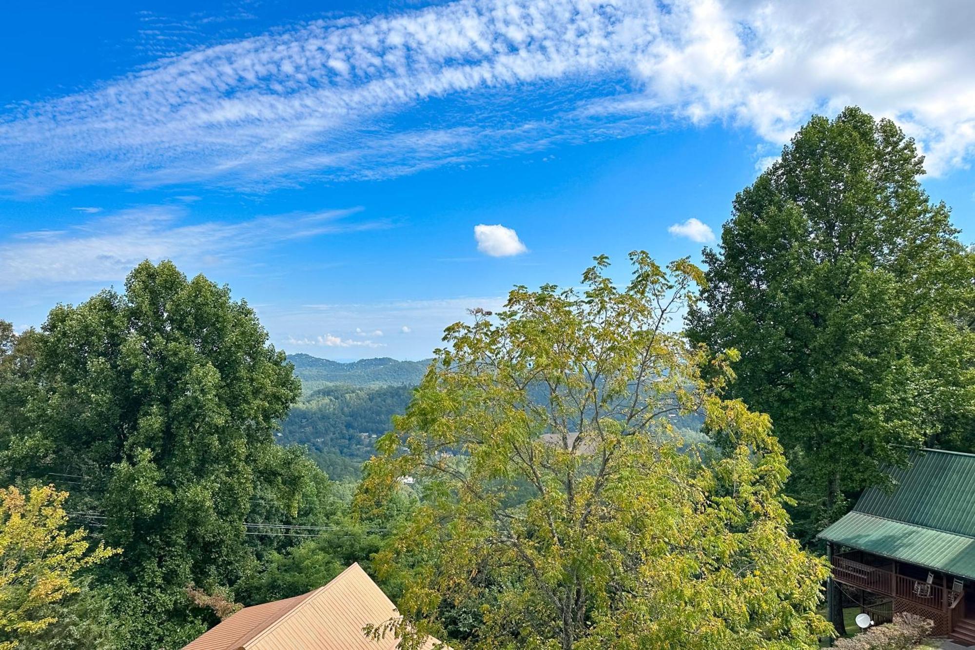 Little Black Bear Retreat Pigeon Forge Εξωτερικό φωτογραφία